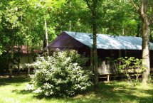 Bungalows de lona Free Flower